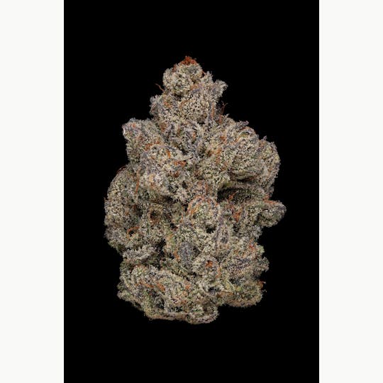 Clade9 - South Central Purps Flower 1/8 - 1