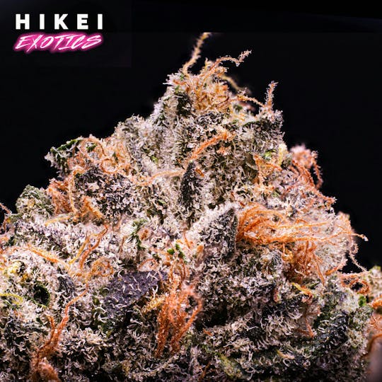 Hikei Exotics - Zkittles X Kush Mintz Eightr 3.5g - 1