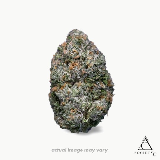 Society C - Society C - Glazed Apricot Gelato - 3.5g Flower - 1