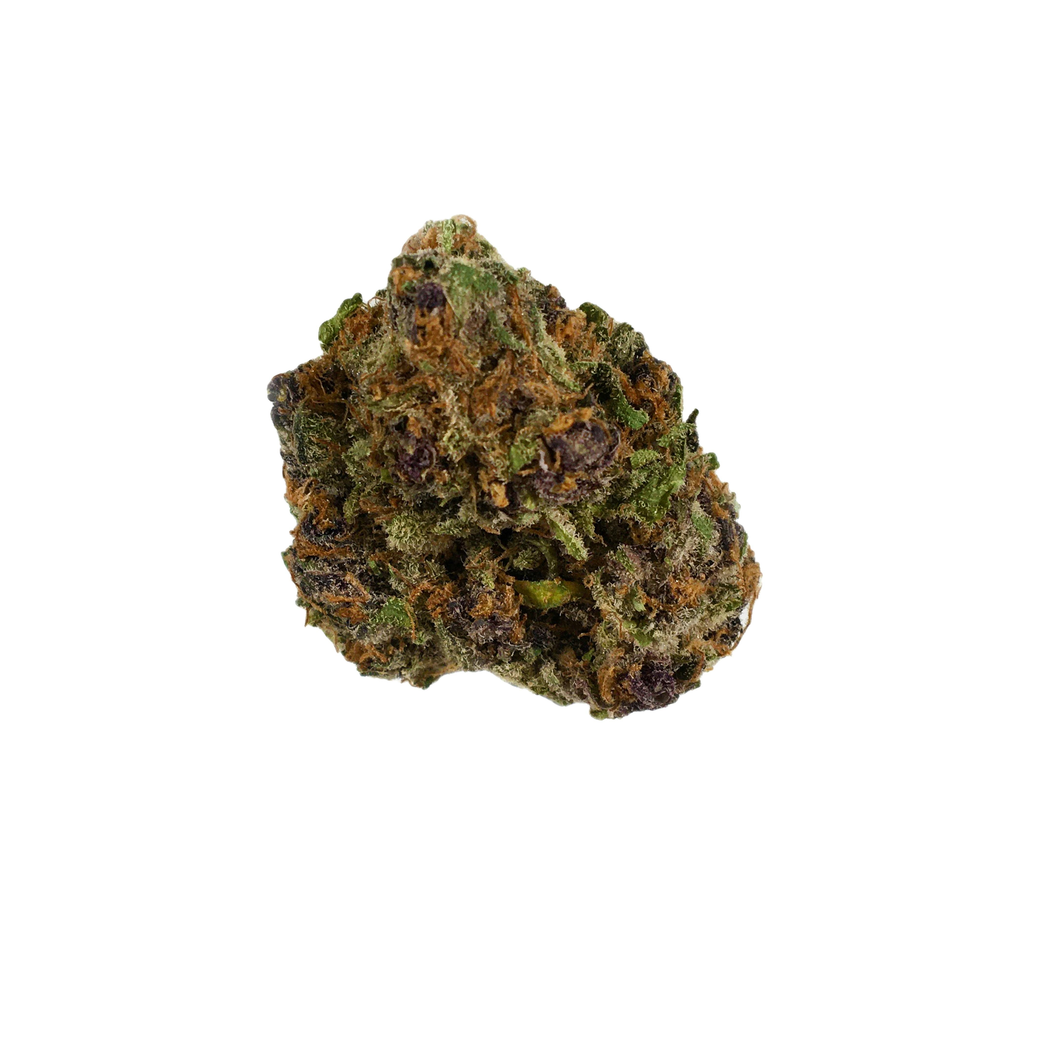 Noblecraft - Courageous - Blood Orange Tangie - 1