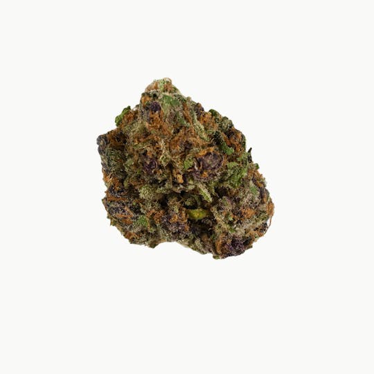 Noblecraft - Courageous - Blood Orange Tangie - 1