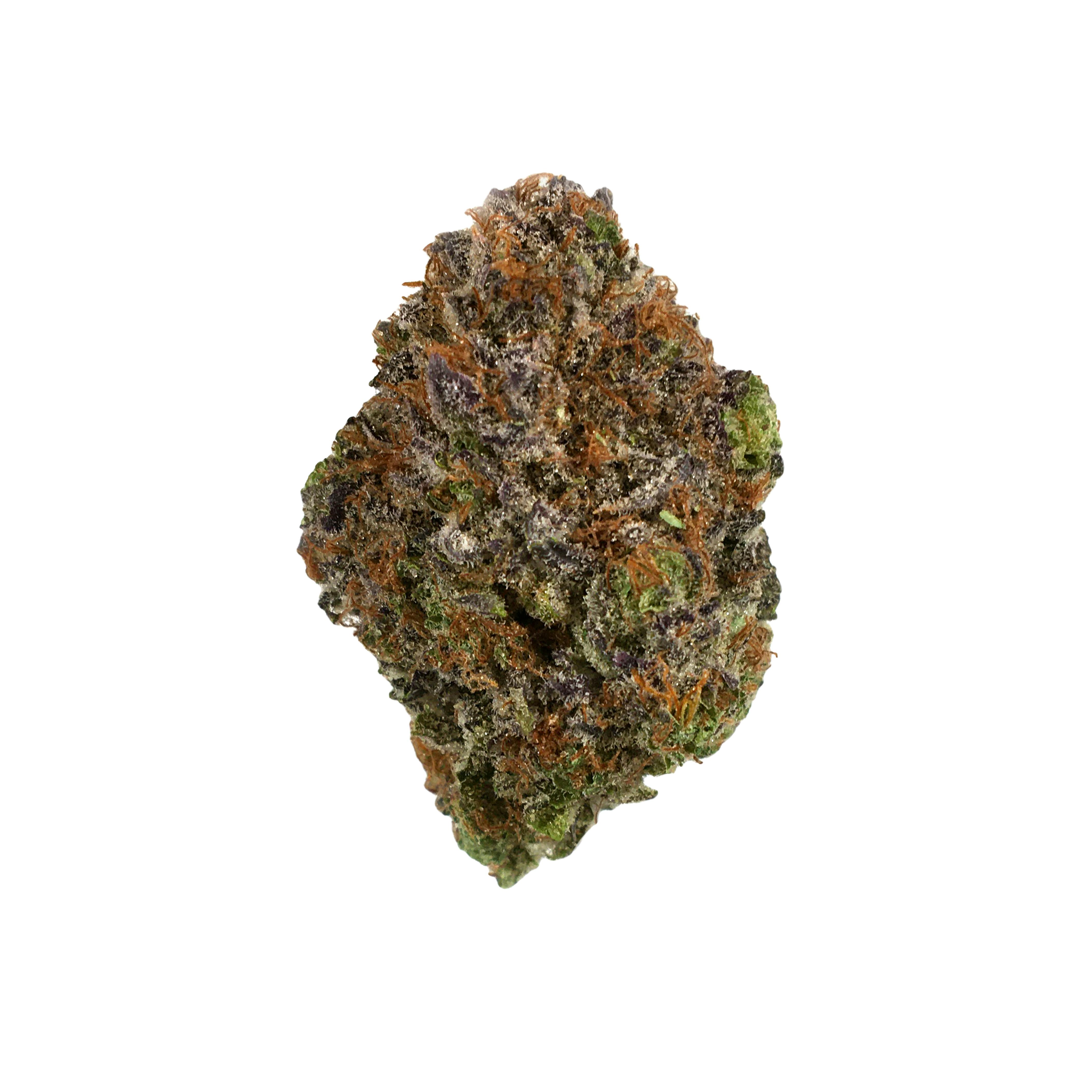 Noblecraft - Courageous - Blueberry Muffin - 1