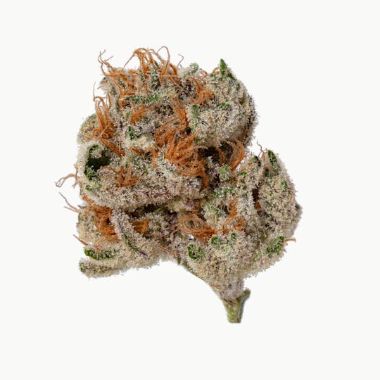 Meraki Gardens - Meraki Gardens | Disco Biscuits | Flower - 1