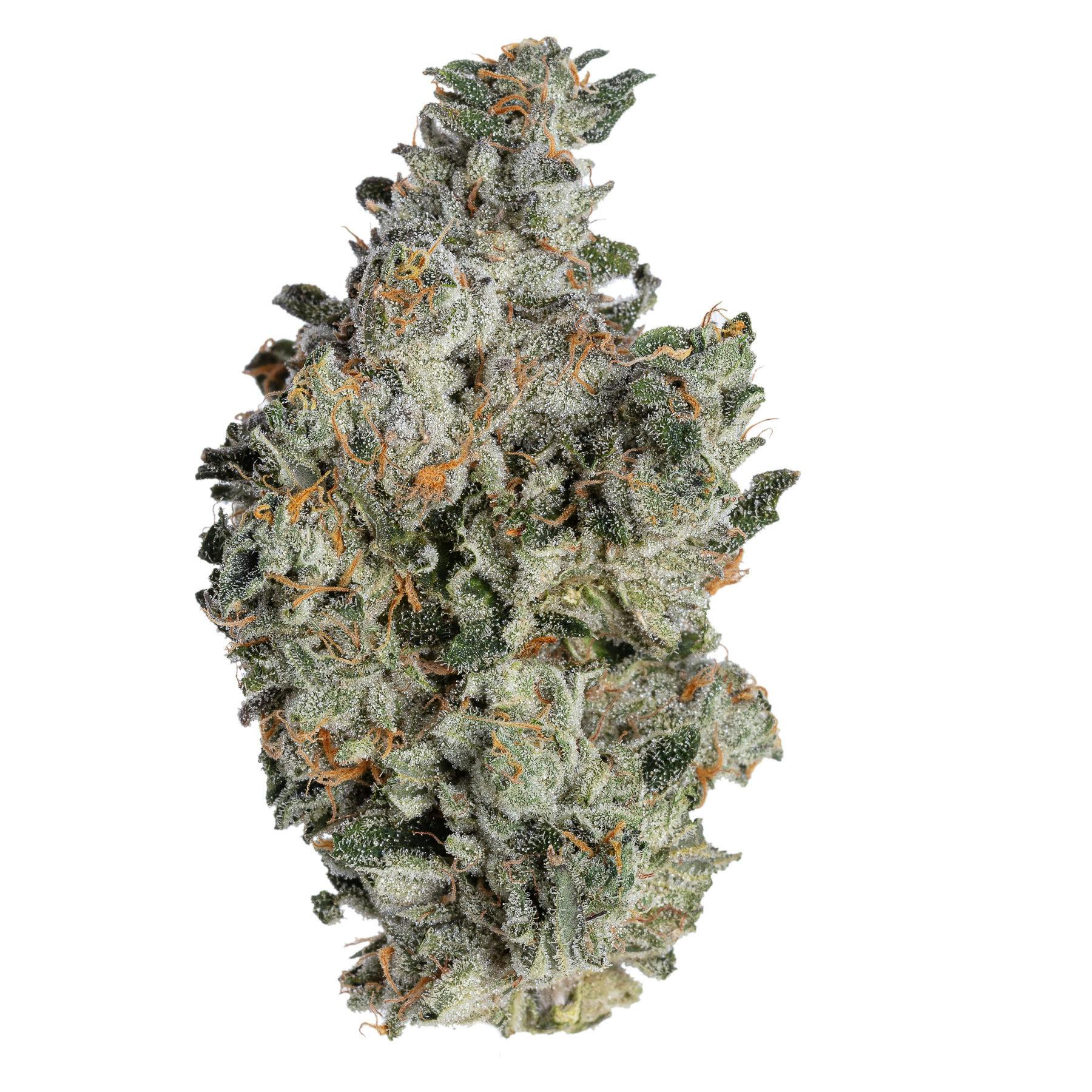 Meraki Gardens - Meraki Gardens | Lava Cake | Flower - 1