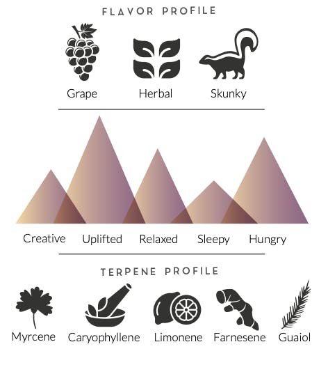 Meraki Gardens - Meraki Gardens | Stacy's Mom | Flower - 1