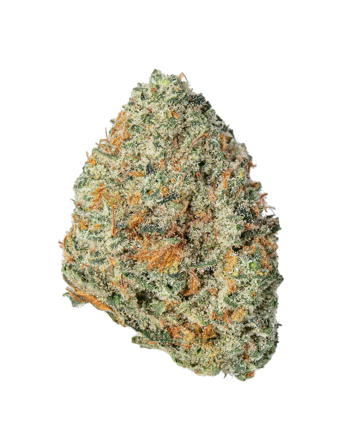 Meraki Gardens - Meraki Gardens | Gasoline Zest | Flower - 1