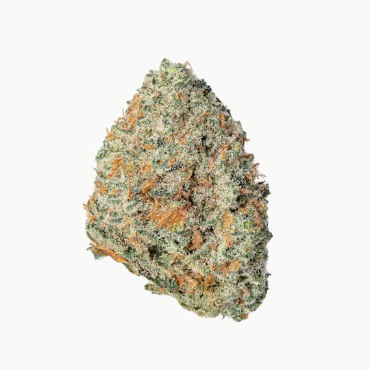 Meraki Gardens - Meraki Gardens | Gasoline Zest | Flower - 1