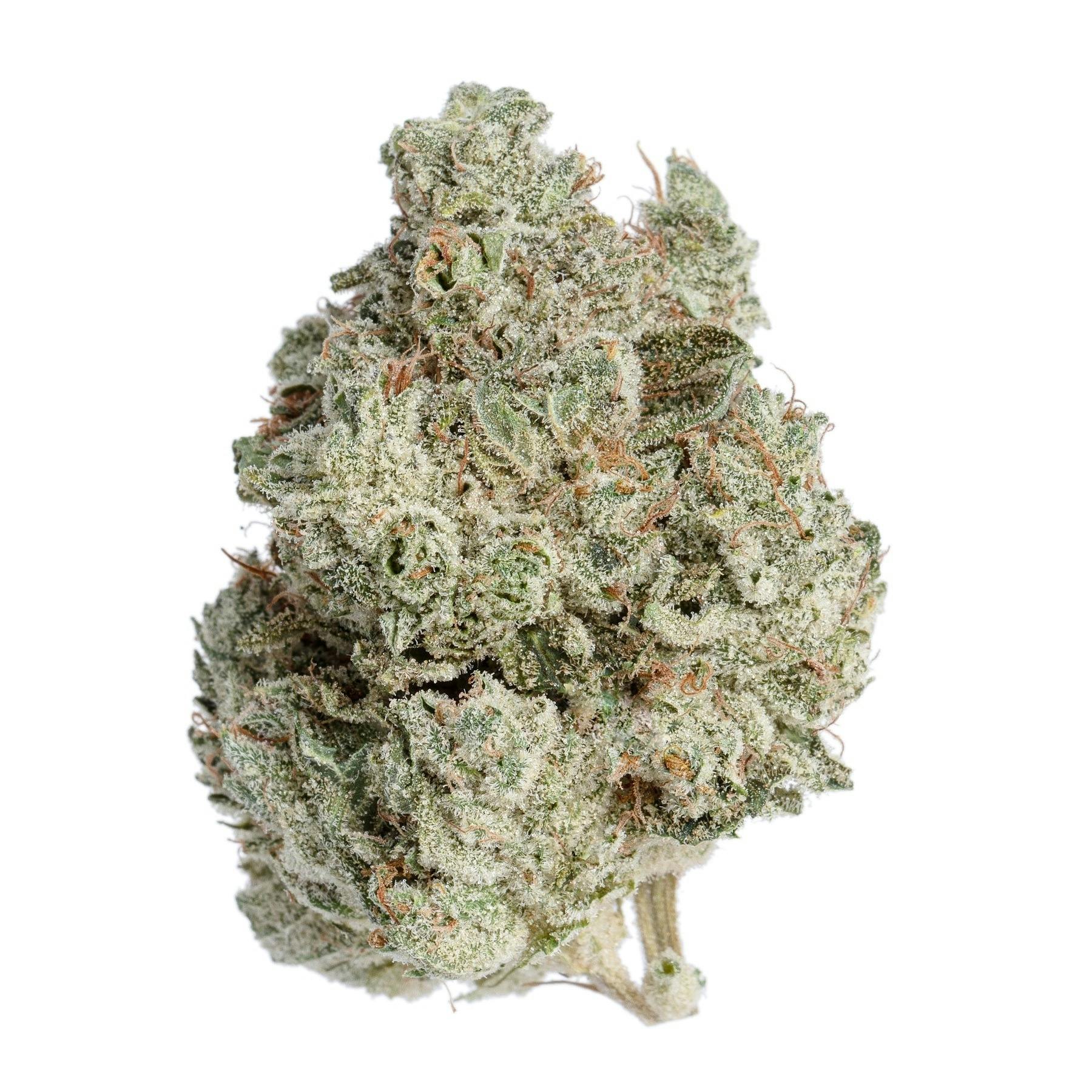 Meraki Gardens - Meraki Gardens | GG#4 | Flower - 1