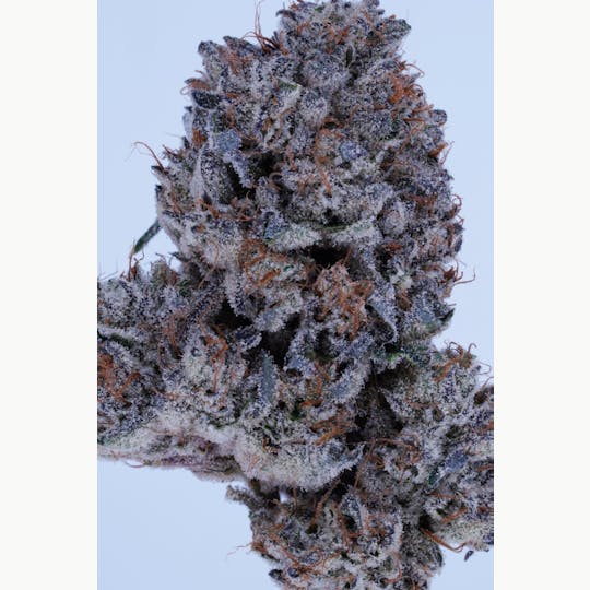 KushCompany - MonteCarlo - 1