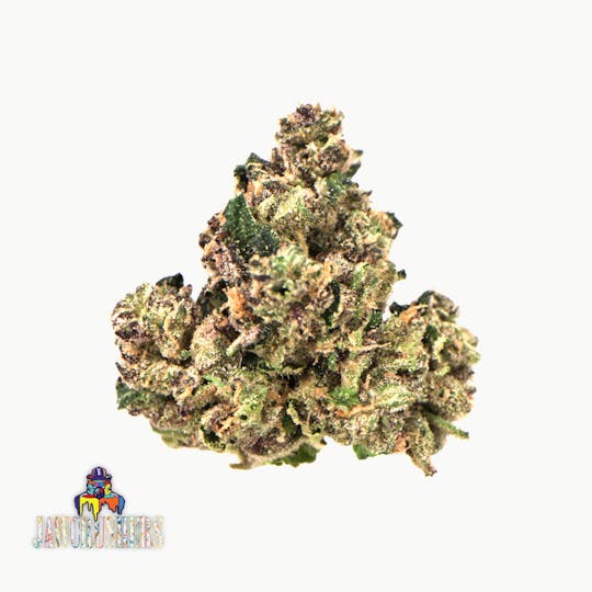 Traditional - Traditional - Jawcrushers Minis 5G - 1