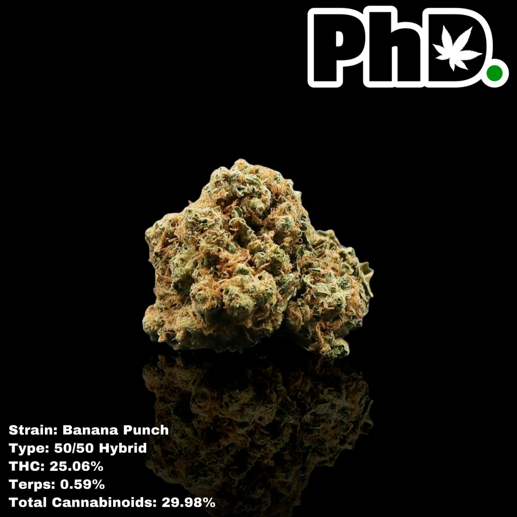Pharmicated - PhD Indoor Flower - Banana Punch - 25.06% THC - 1