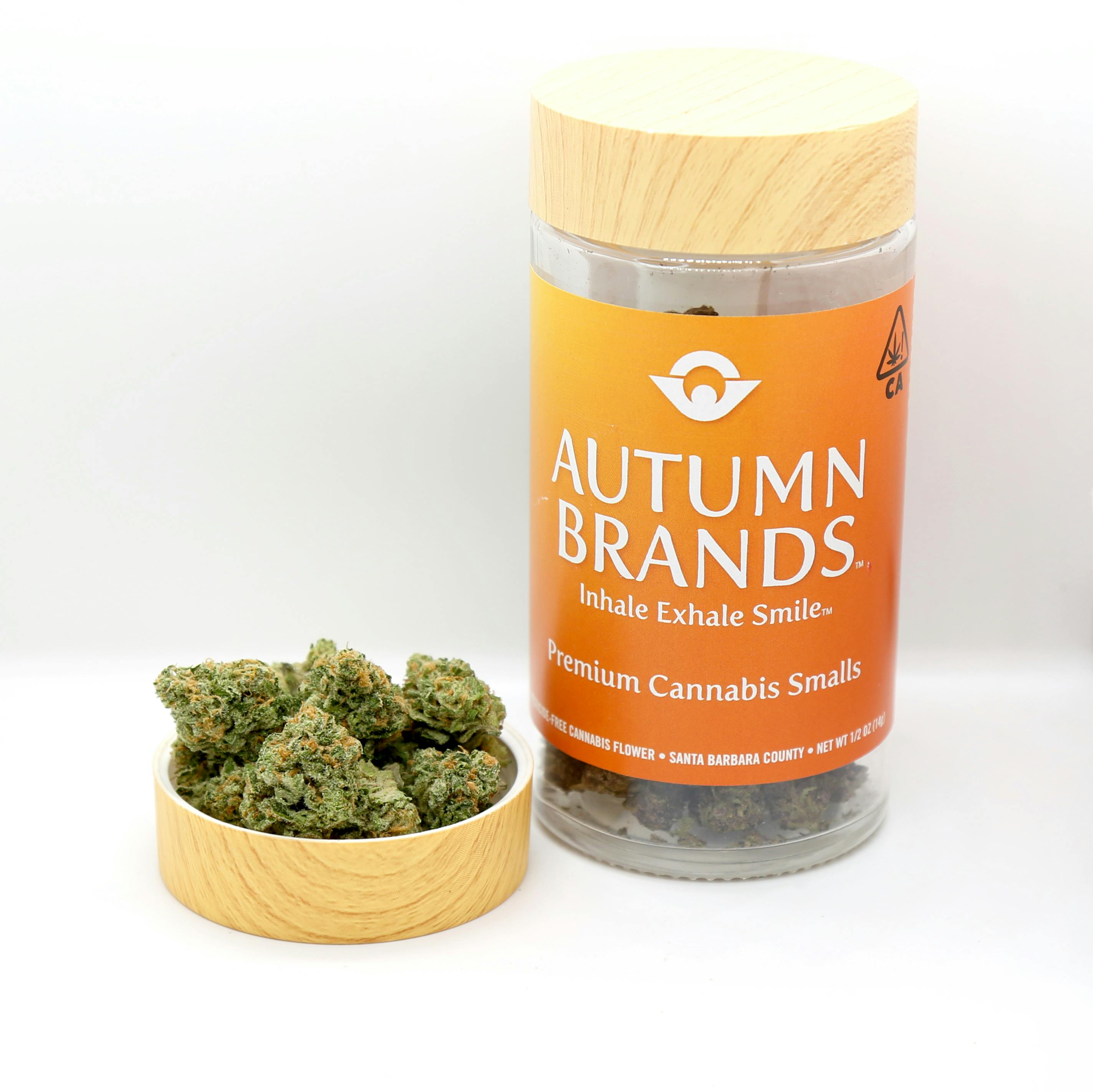 Autumn Brands - Blueberry Fuego Premium Smalls 14 Grams - 1