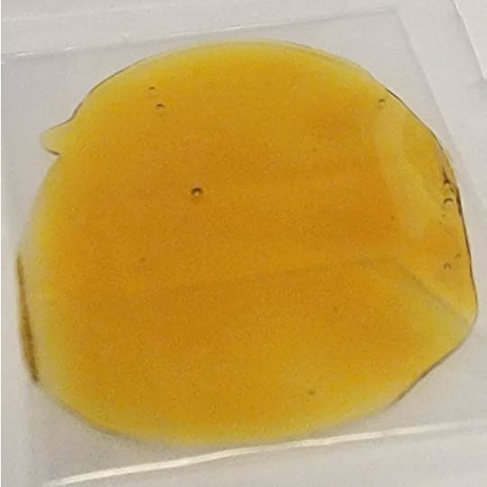 Organic Care of California - (80%) (96%) Gelato 41 "Shatter" (1g) INDICA - 1