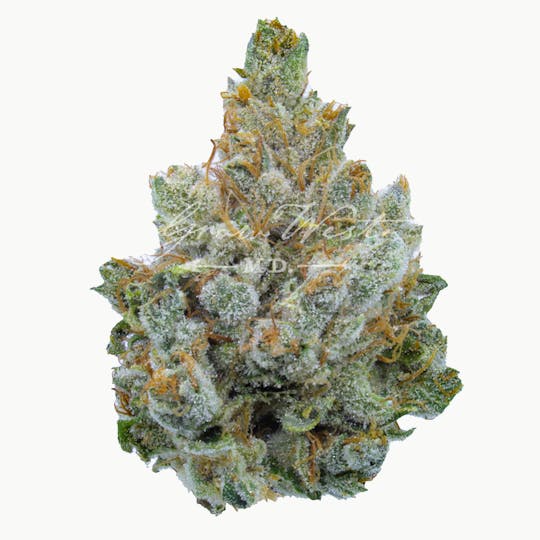 Grow West Cannabis Company - Miami Heat | Premium | Hand-Trimmed Flower - 1