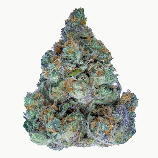 Grow West Cannabis Company - Cherry Chocolate Widow | Premium | Hand-Trimmed Flower - 1