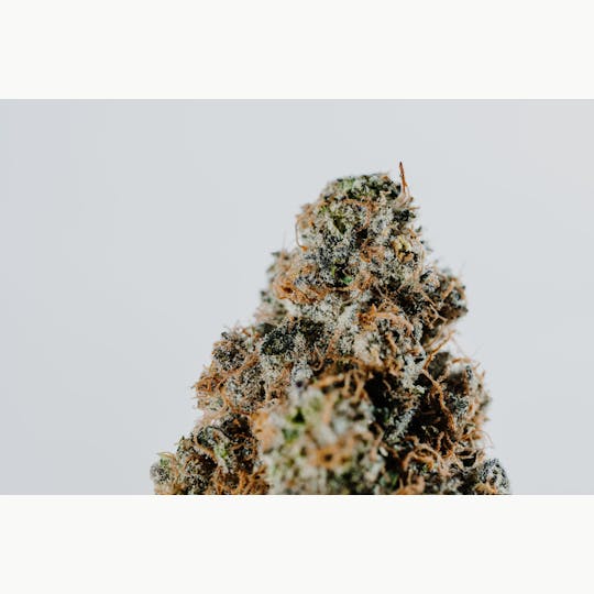 420 Kingdom - 420 Kingdom - Bubble Bath #1 - 3.5g Flower - 1