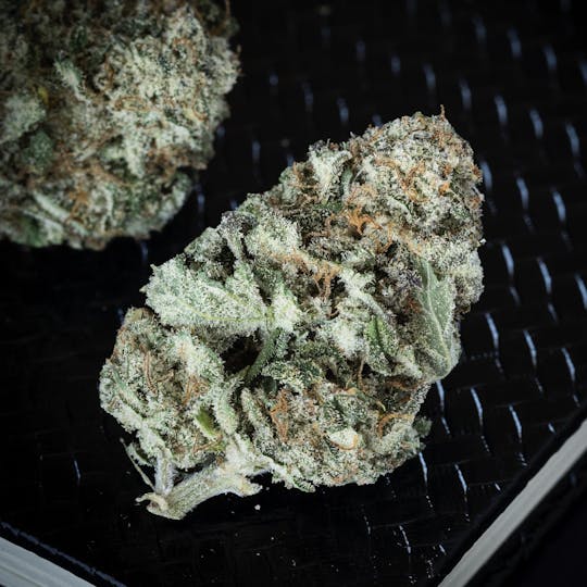 420 Kingdom - King's Aero - Watermelon Mimosa - 4g Flower - 1