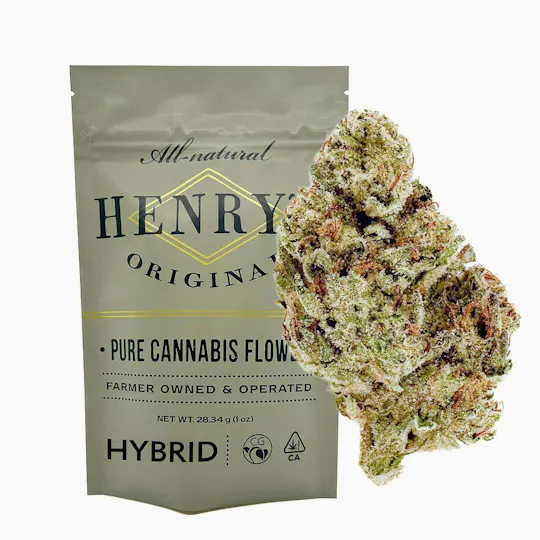 Henry's Original - Henry's Original | Apple Fritter | Pouch Big Buds | 28g - 1