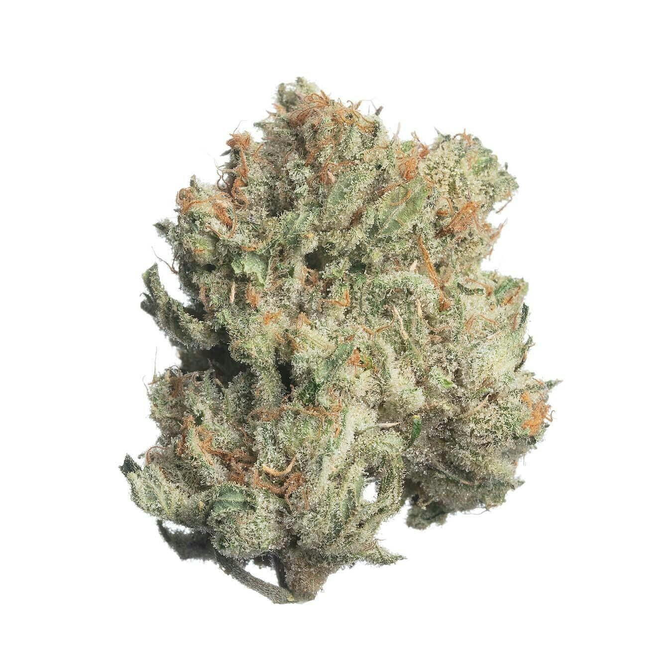 Meraki Gardens - Meraki Gardens | Fresh Powder #10 | Flower - 1