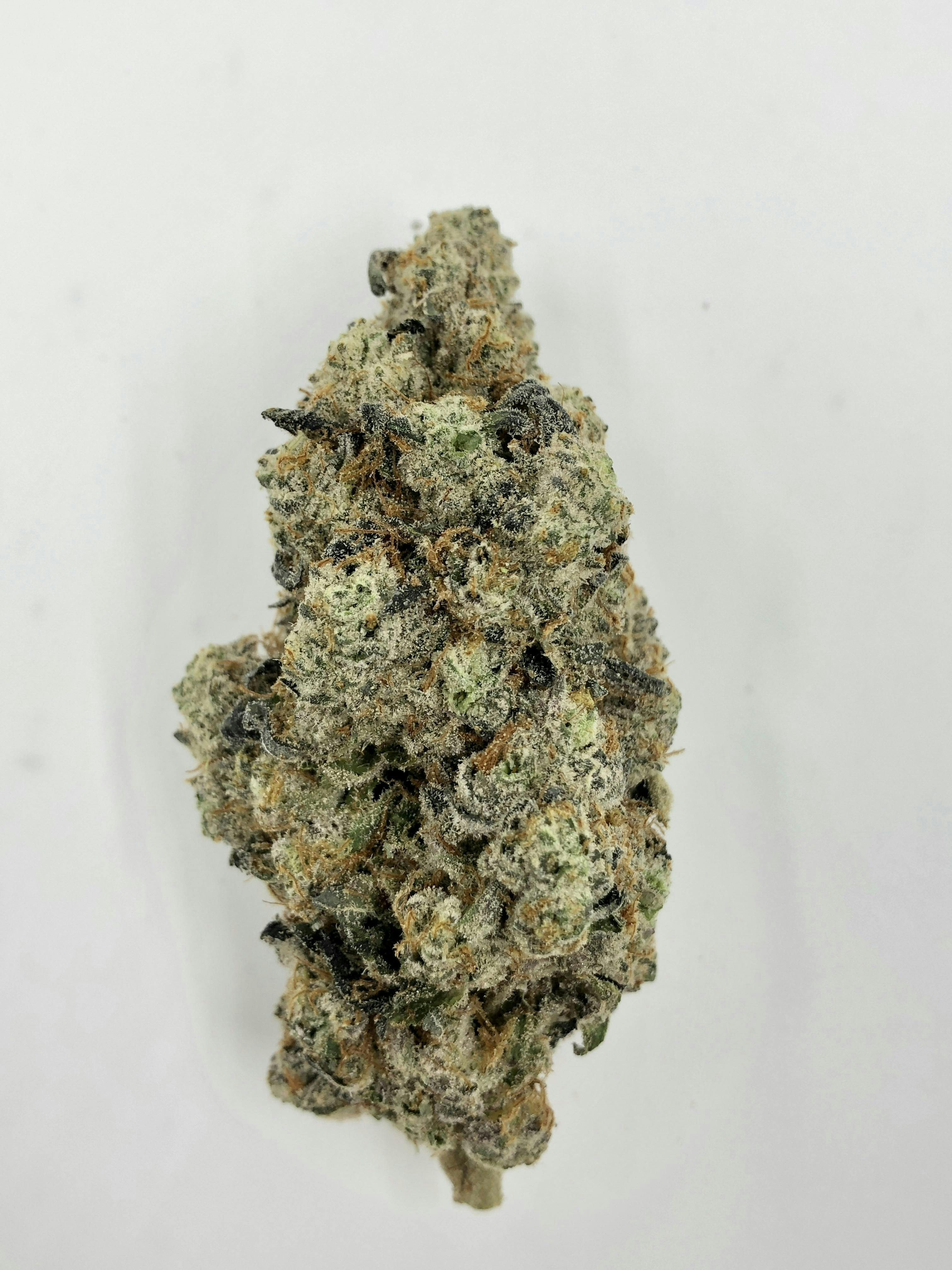 Indico - Kush Mints x Animal Cookies - 1