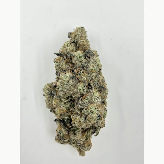 Indico - Kush Mints x Animal Cookies - 1