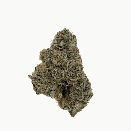 Indico - Grape Cream Cake - 1