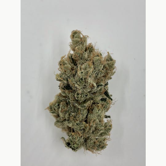 Faraway Farmstead - Cannalope Queen - 1