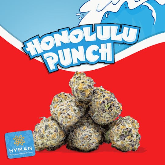 HYMAN - Honolulu Punch | 3.5G Pre-Pack | HYMAN | MED - 1
