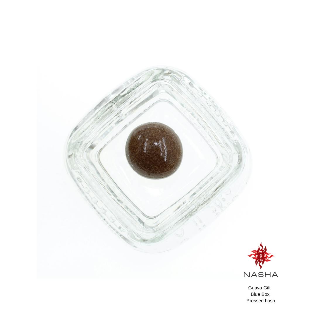 NASHA - Guava Gift Blue Pressed Hash - 1