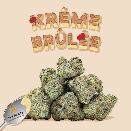 HYMAN - Kreme Brulee | 3.5G Pre-Pack | HYMAN | REC - 1
