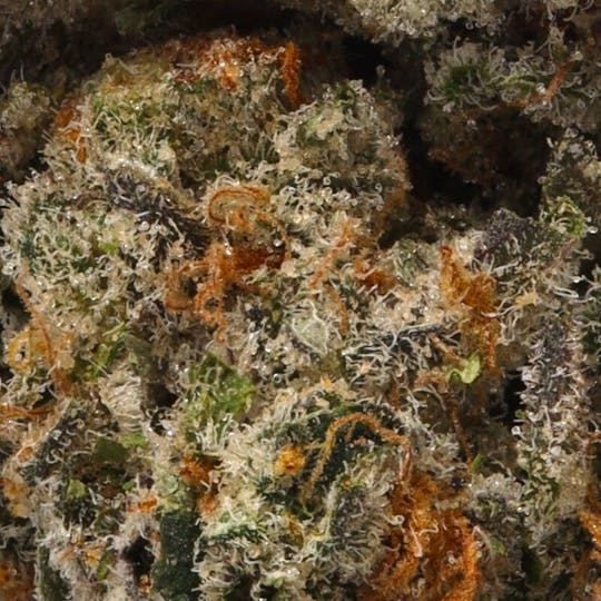 Hyperwolf - Blue Dream x Zkittlez - 1