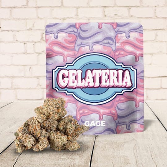 GAGE - Gelateria - 1
