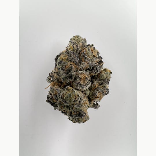 Five Star Fire - Orange Aid - 1