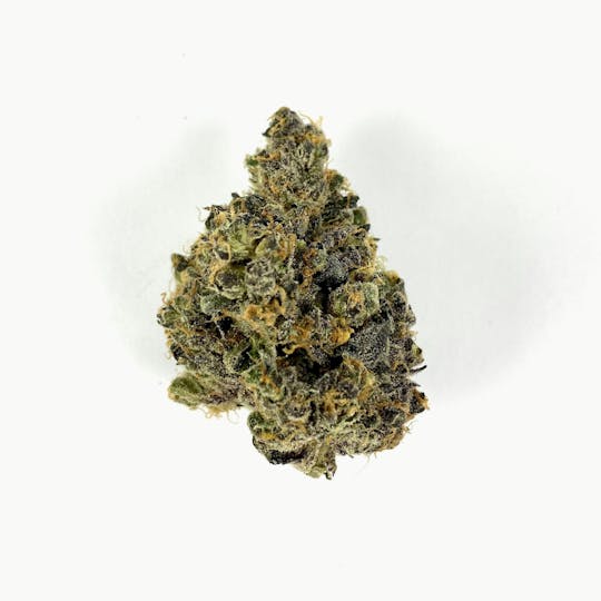 Indico - Apple Fritter - 1