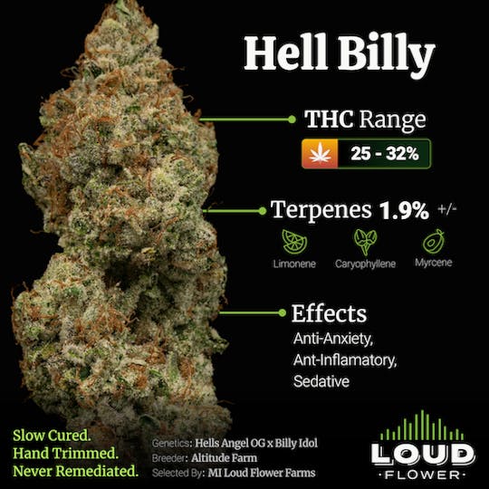 MI Loud Flower Farms - Hell Billy - 1