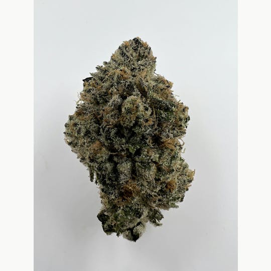 Indico - G 12 - 1