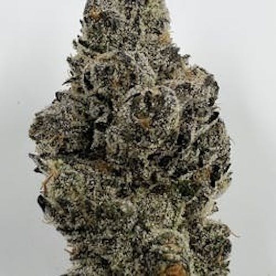 Lonely Bones - Mylar OG - 1