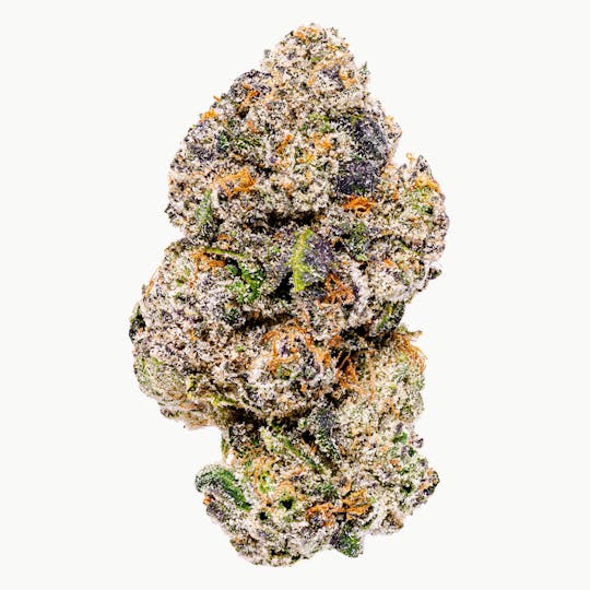 The Cure Company - The Cure Company Flower - Curelato Runtz 3.5g - 1