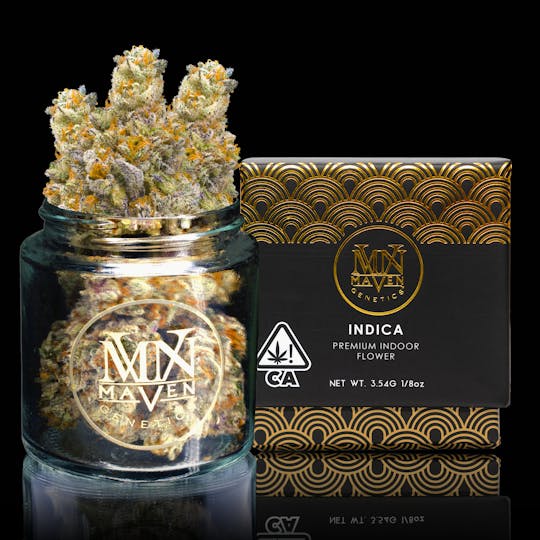 Maven Genetics - Numbskull - 1