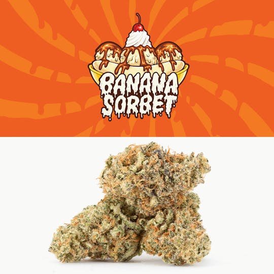 GAGE - Banana Sorbet - 1