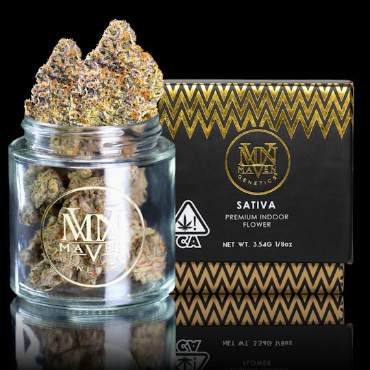 Maven Genetics - Sour Sangria - 1