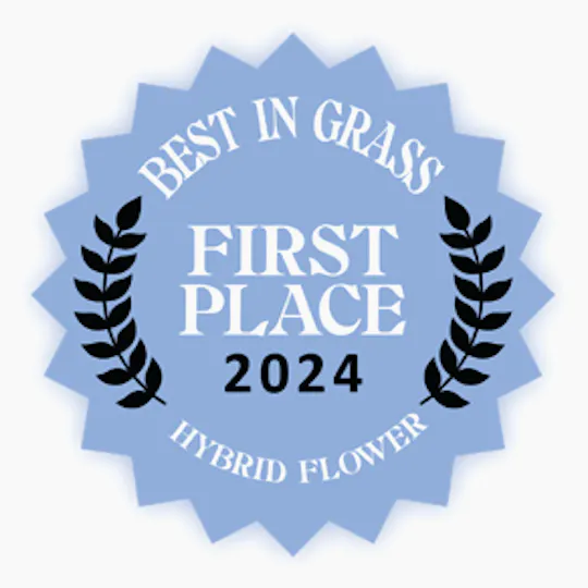 Society C - Society C | Gastro Pop | Big Buds | 3.5g - 1