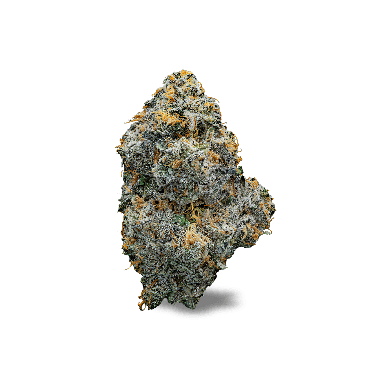 Society C - Society C | Gastro Pop | Live Rosin Disposable | 0.5g - 1