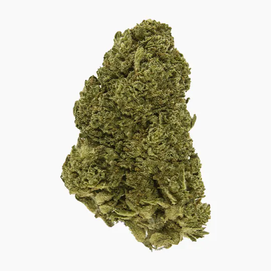 Smoakland - Smoakland Xclusivez | Rainbow Zkittlez | Big Buds | 28g - 1