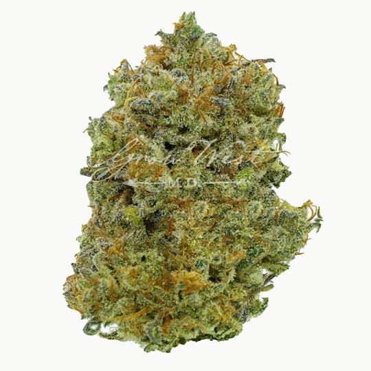 Grow West Cannabis Company - Intergalactic | Premium | Hand-Trimmed Flower - 1