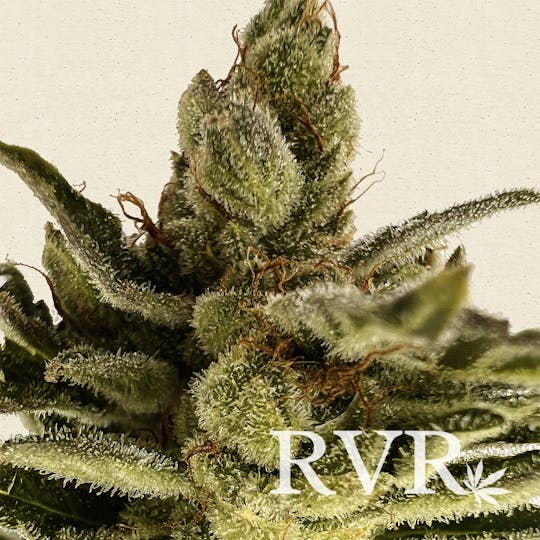 River Valley Relief - Ben's Buffalo Flower - 1