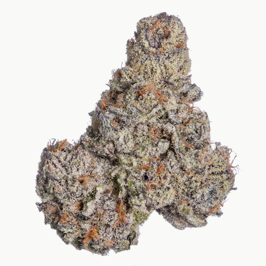 Meraki Gardens - Meraki Gardens | GMO x Mai Tai | Flower - 1