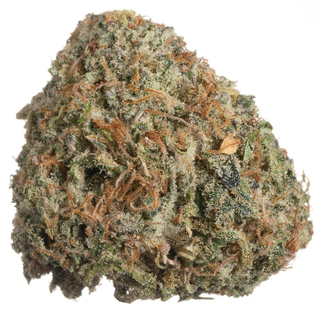 Meraki Gardens - Meraki Gardens | RNTZ | Flower - 1