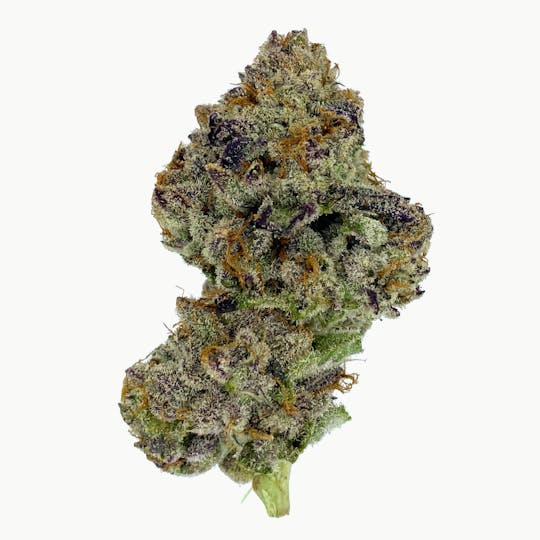 Curated Cannabis - Zookies - Eight Ounce - Live Cured Flower - 1