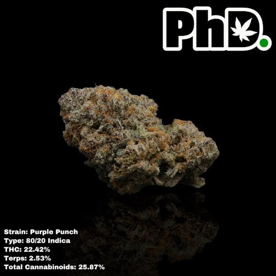 Pharmicated - PhD Indoor Flower - Purple Punch-25.87% THC - 1